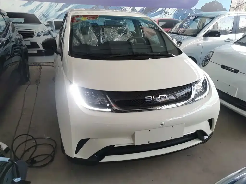 BYD Dolphin 2025 из CN, фото 3