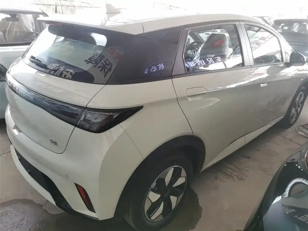BYD Dolphin 2025 из CN, фото 7