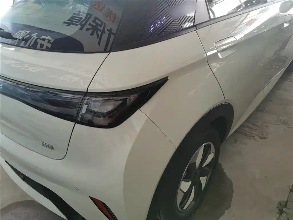 BYD Dolphin 2025 из CN, фото 8