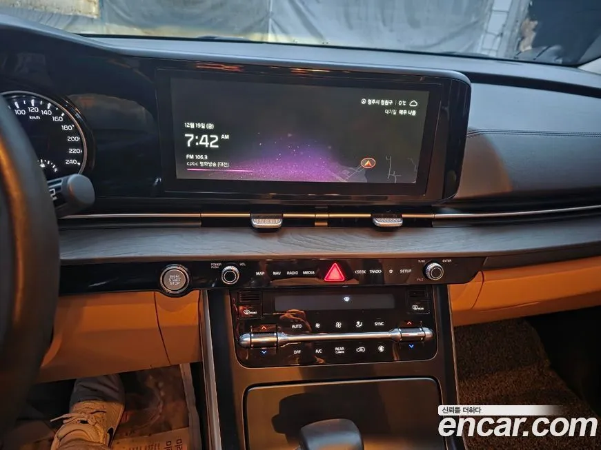 Kia Carnival — фото 10