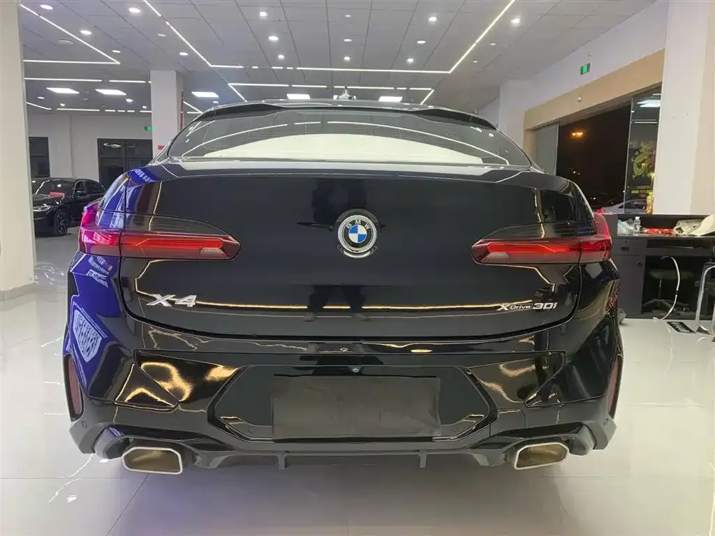 BMW X4 2023 из CN, фото 4