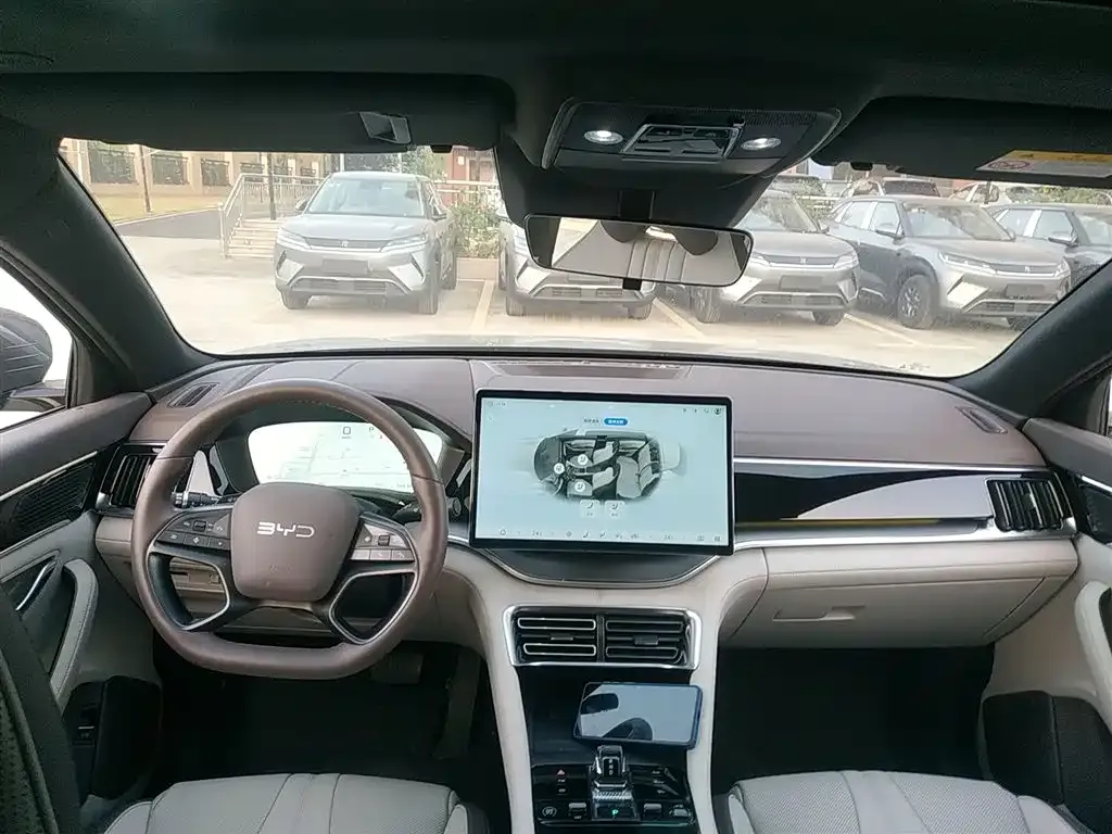 BYD PLUS New Energy 2025 из CN, фото 10