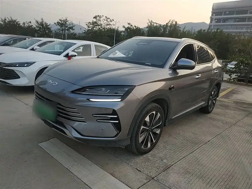 BYD PLUS New Energy 2025 из CN, фото 2