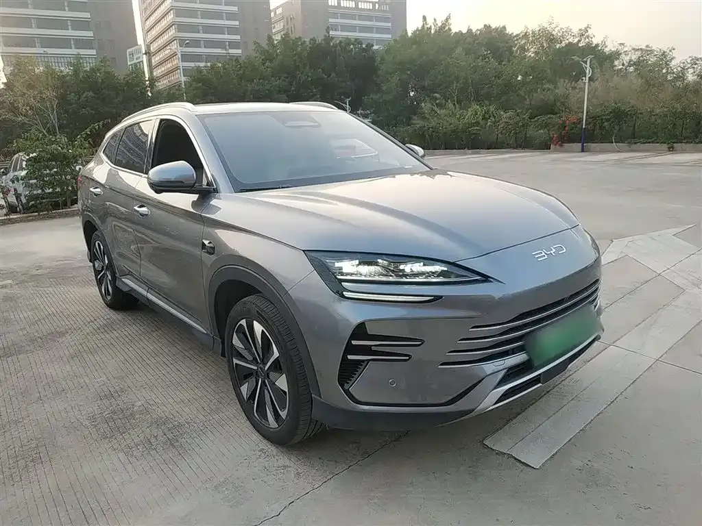 BYD PLUS New Energy 2025 из CN, фото 4