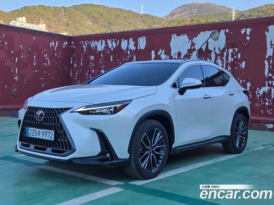 Lexus NX 2025 из KR, фото 1