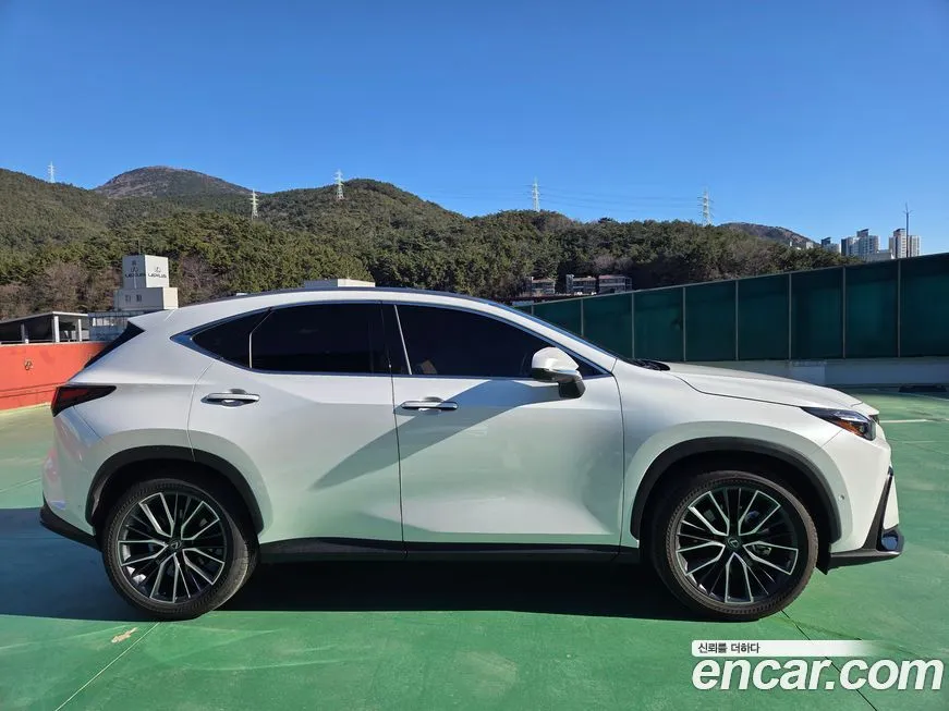Lexus NX 2025 из KR, фото 2