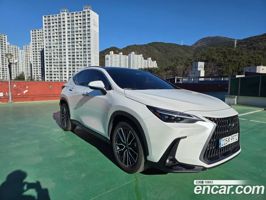 Lexus NX 2025 из KR, фото 3