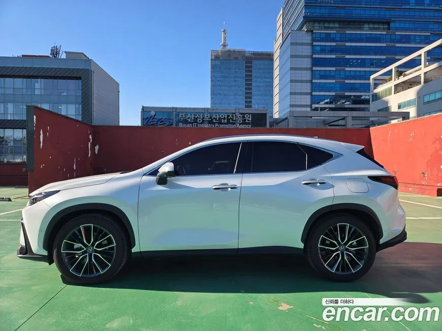 Lexus NX 2025 из KR, фото 5
