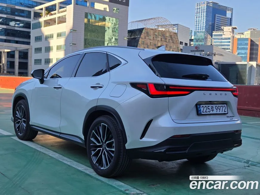 Lexus NX 2025 из KR, фото 6