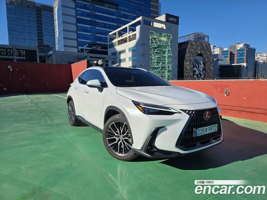 Lexus NX 2025 из KR, фото 7