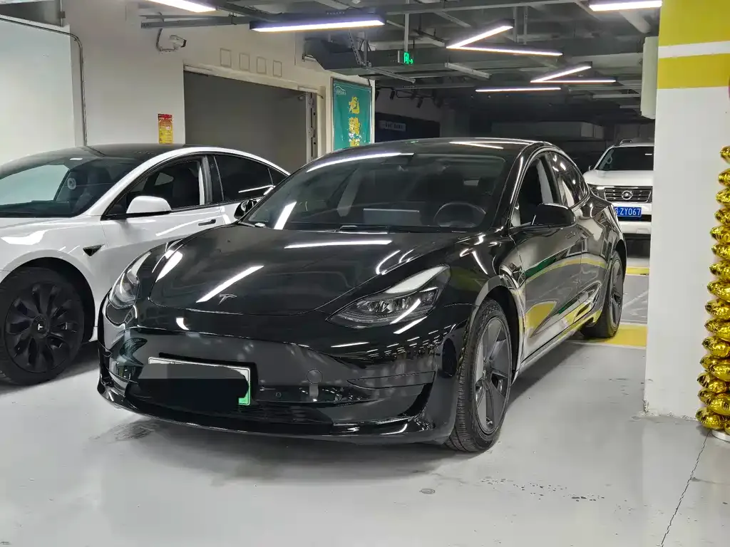 Tesla Model 3 2021 из CN, фото 1