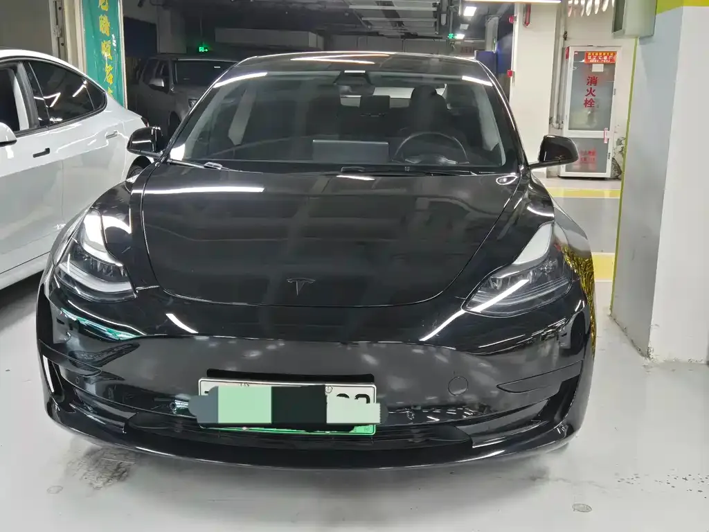 Tesla Model 3 2021 из CN, фото 2