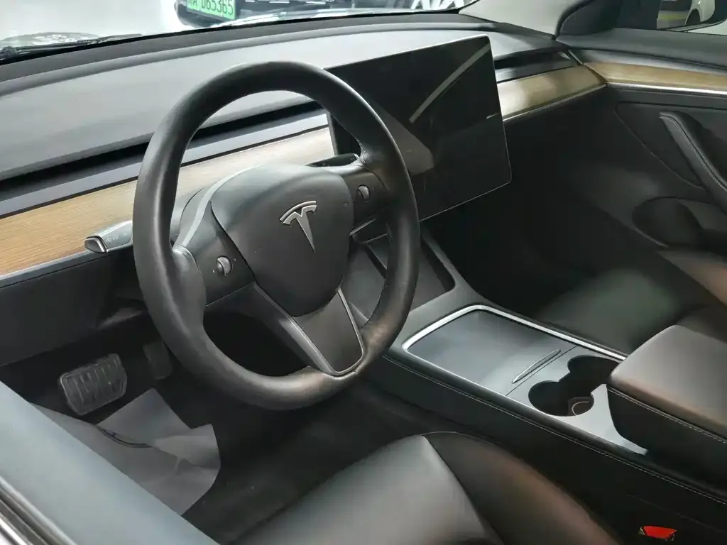 Tesla Model 3 2021 из CN, фото 4