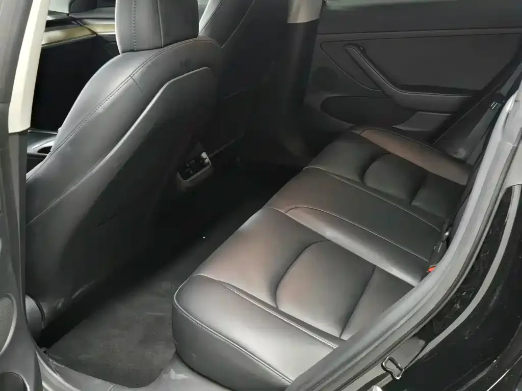 Tesla Model 3 2021 из CN, фото 6