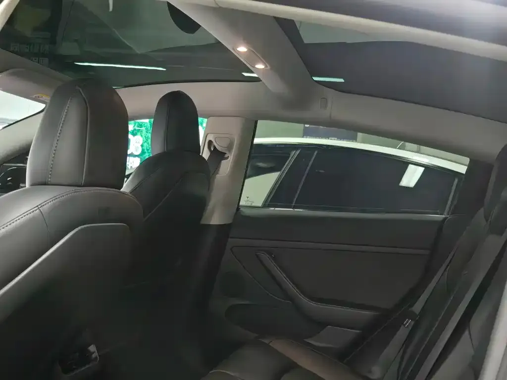 Tesla Model 3 2021 из CN, фото 7