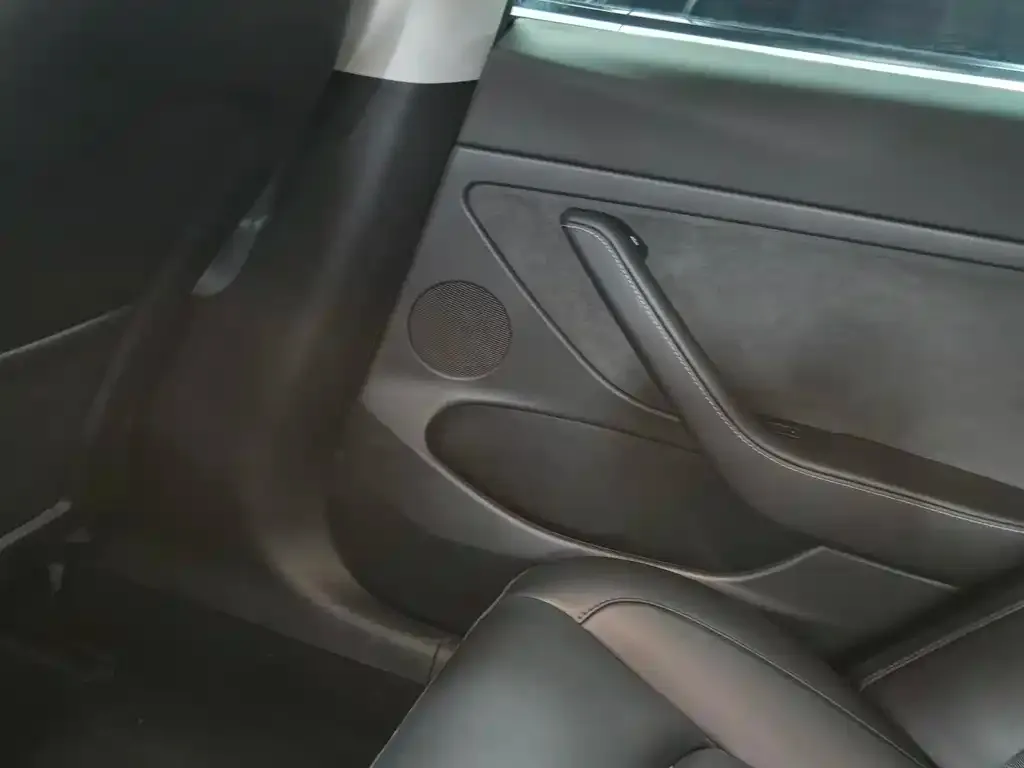 Tesla Model 3 2021 из CN, фото 8