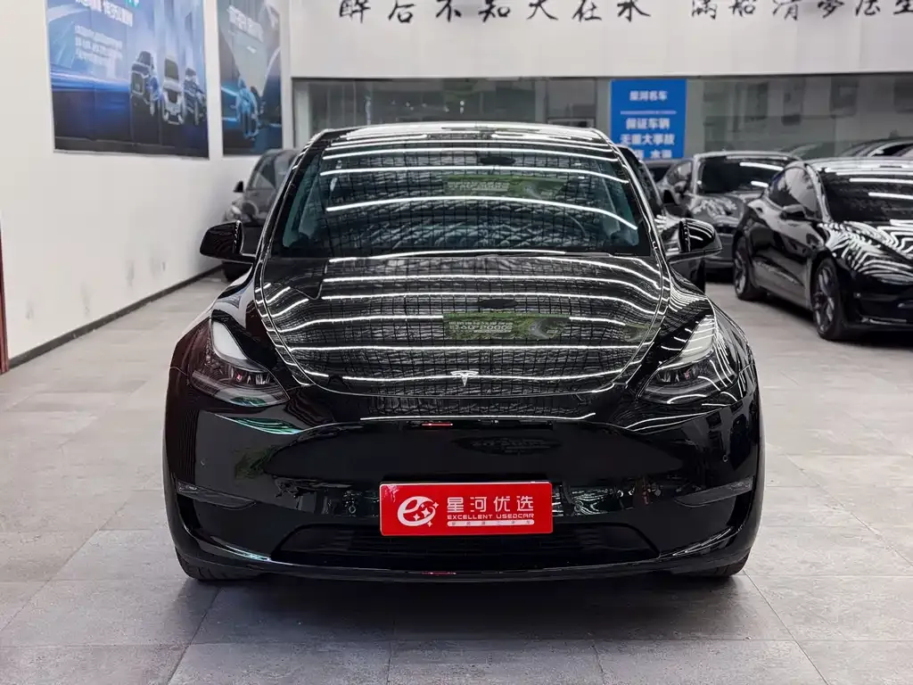 Tesla Model Y — фото 2