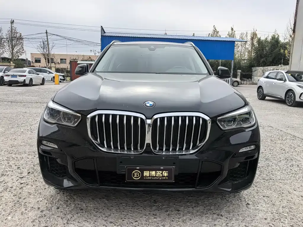 BMW X5 (Import) 2022 из CN, фото 2