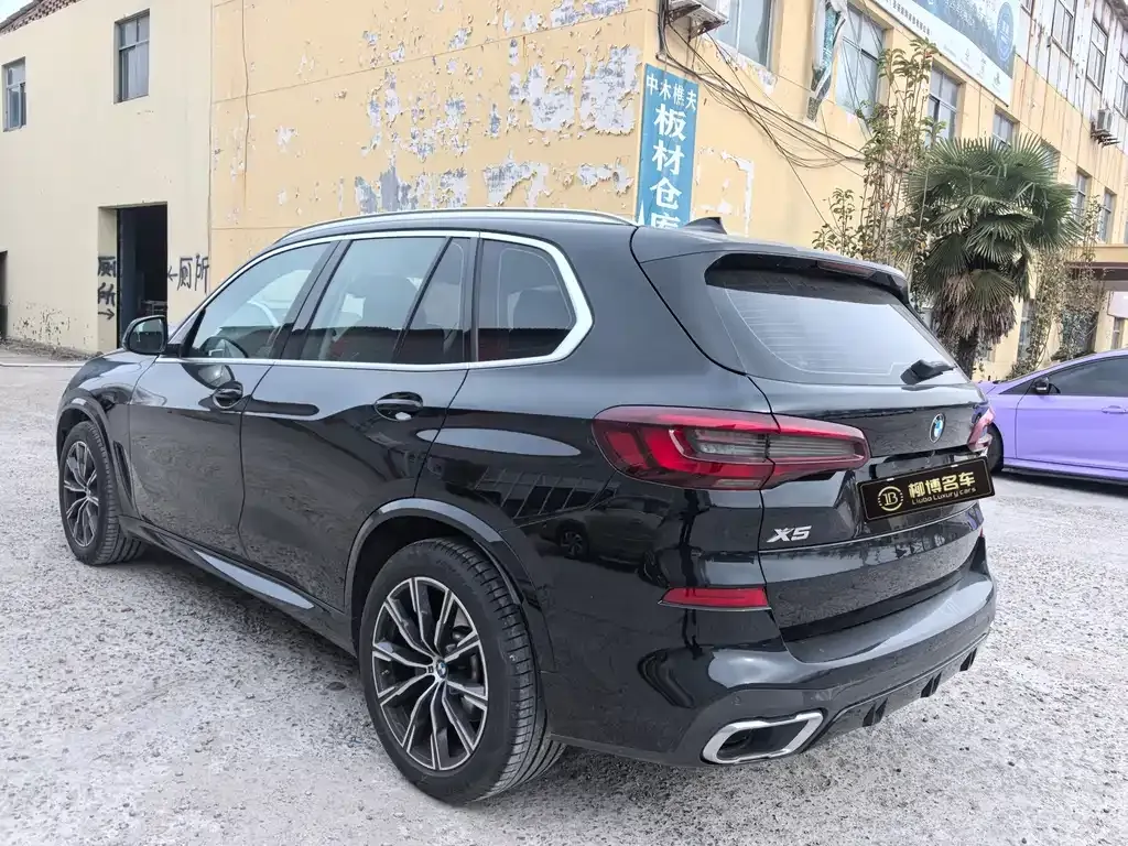 BMW X5 (Import) 2022 из CN, фото 6