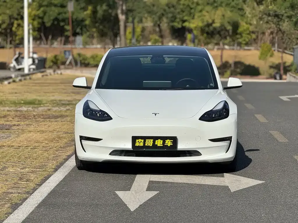 Tesla Model 3 — фото 2