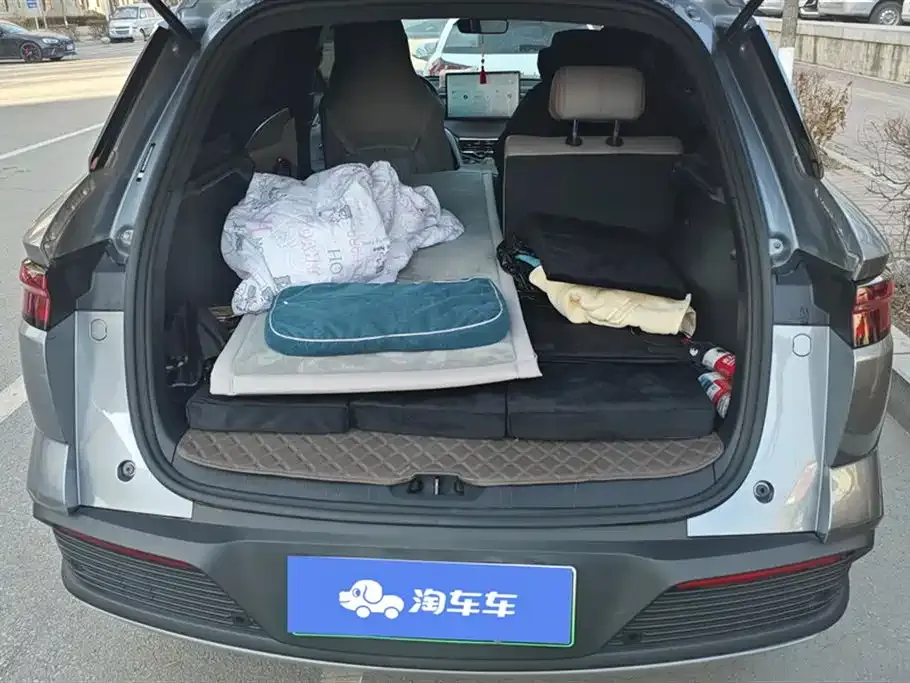 BYD Pro New Energy — фото 4