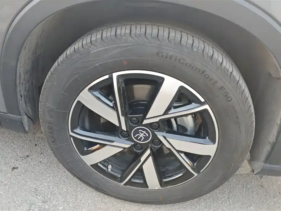 BYD Pro New Energy — фото 6