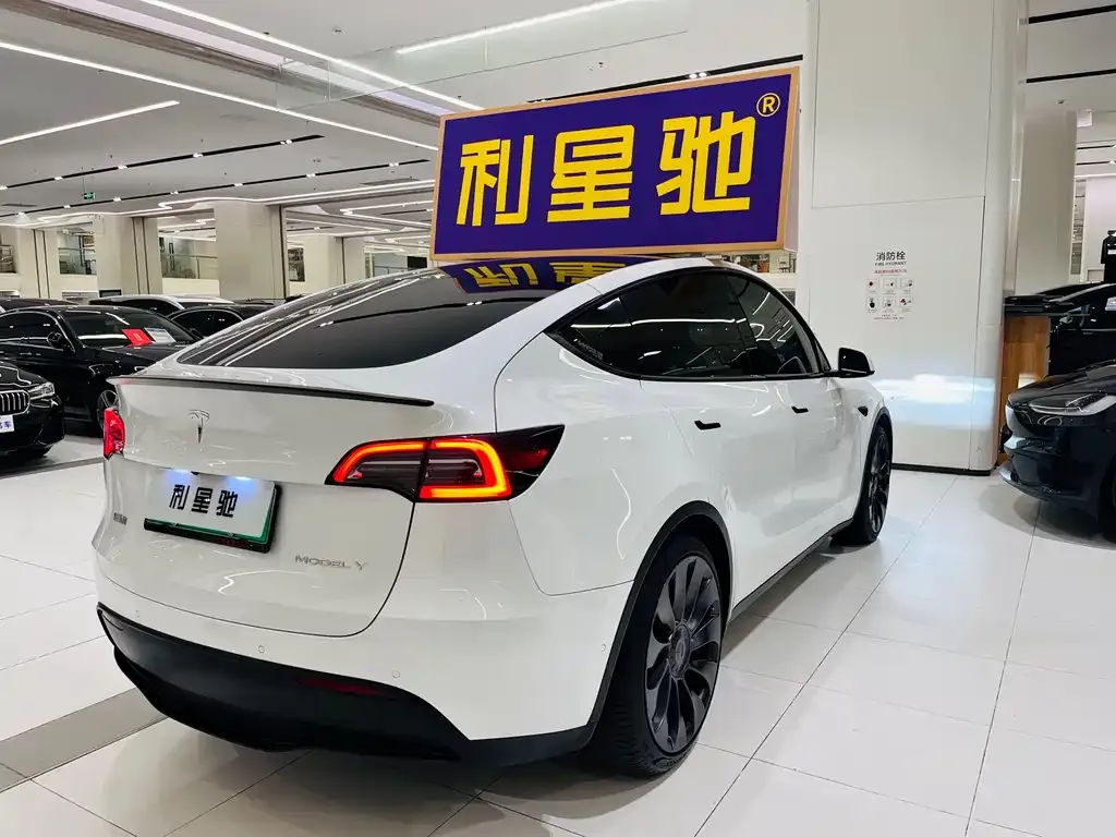 Tesla Model Y 2023 из CN, фото 4