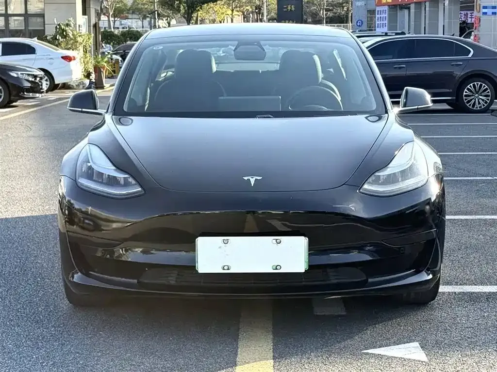 Tesla Model 3 2021 из CN, фото 3
