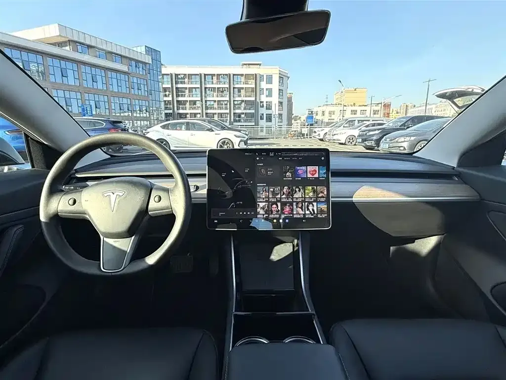 Tesla Model 3 2021 из CN, фото 4