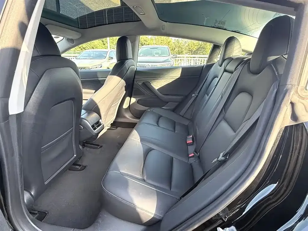 Tesla Model 3 2021 из CN, фото 6