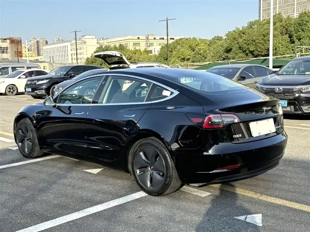Tesla Model 3 2021 из CN, фото 7