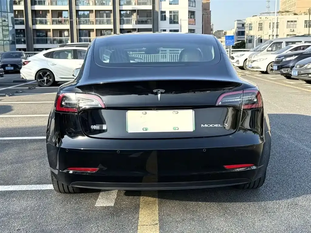 Tesla Model 3 2021 из CN, фото 8