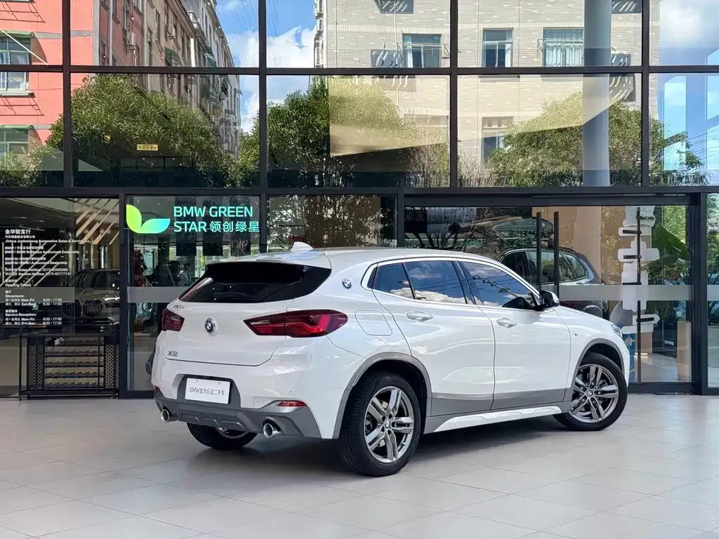 BMW X2 2021 из CN, фото 4