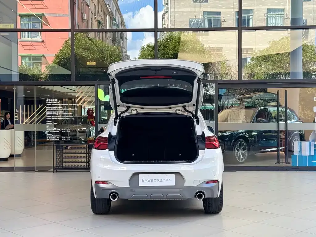 BMW X2 2021 из CN, фото 6