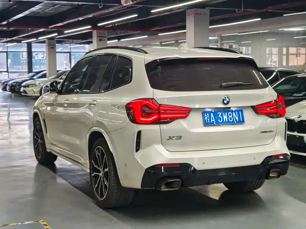 BMW X3 2022 из CN, фото 6