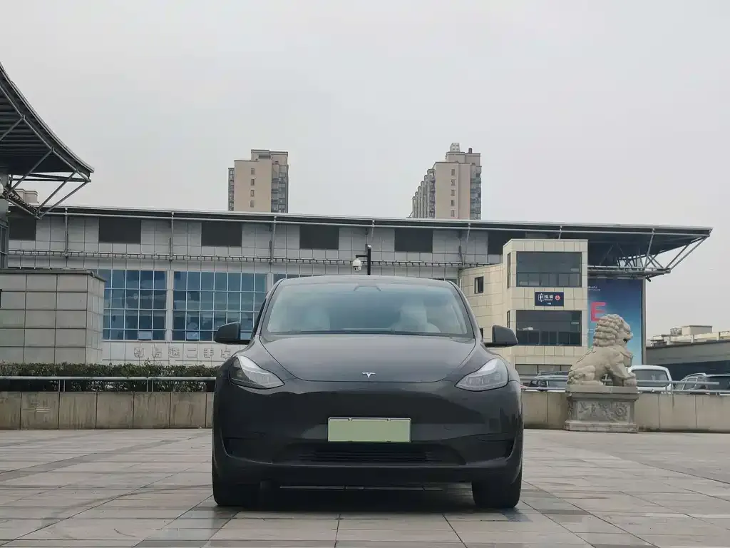 Tesla Model Y — фото 2