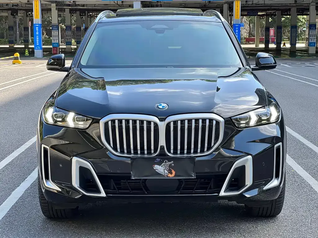 BMW X5 — фото 3