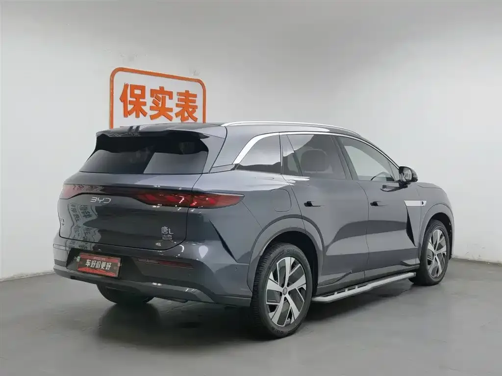 BYD Tang L 2025 из CN, фото 2