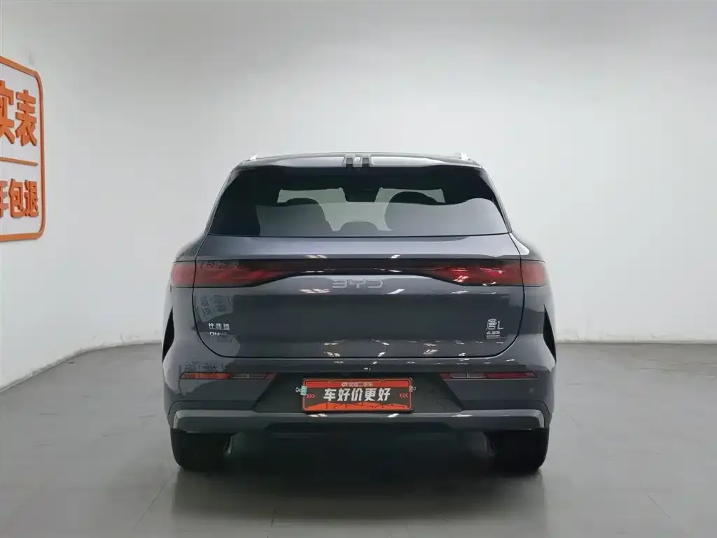 BYD Tang L 2025 из CN, фото 4