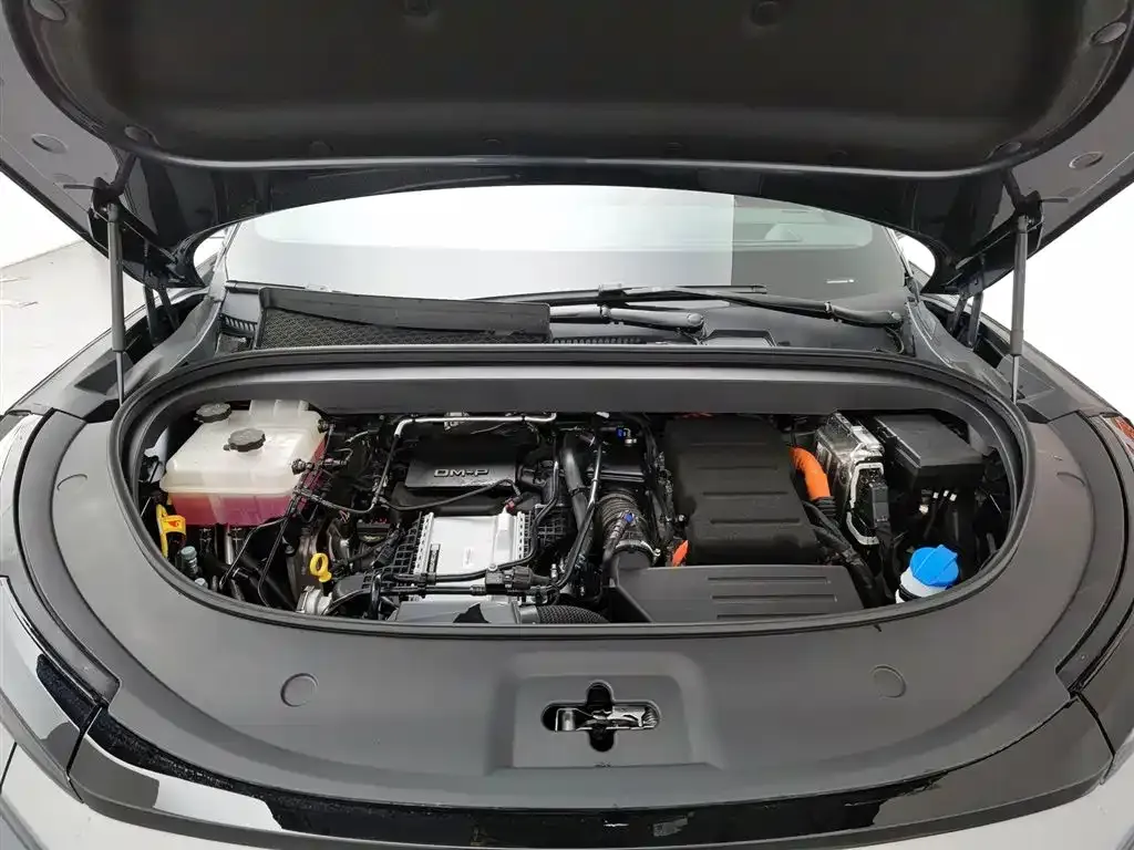 BYD Tang L 2025 из CN, фото 6