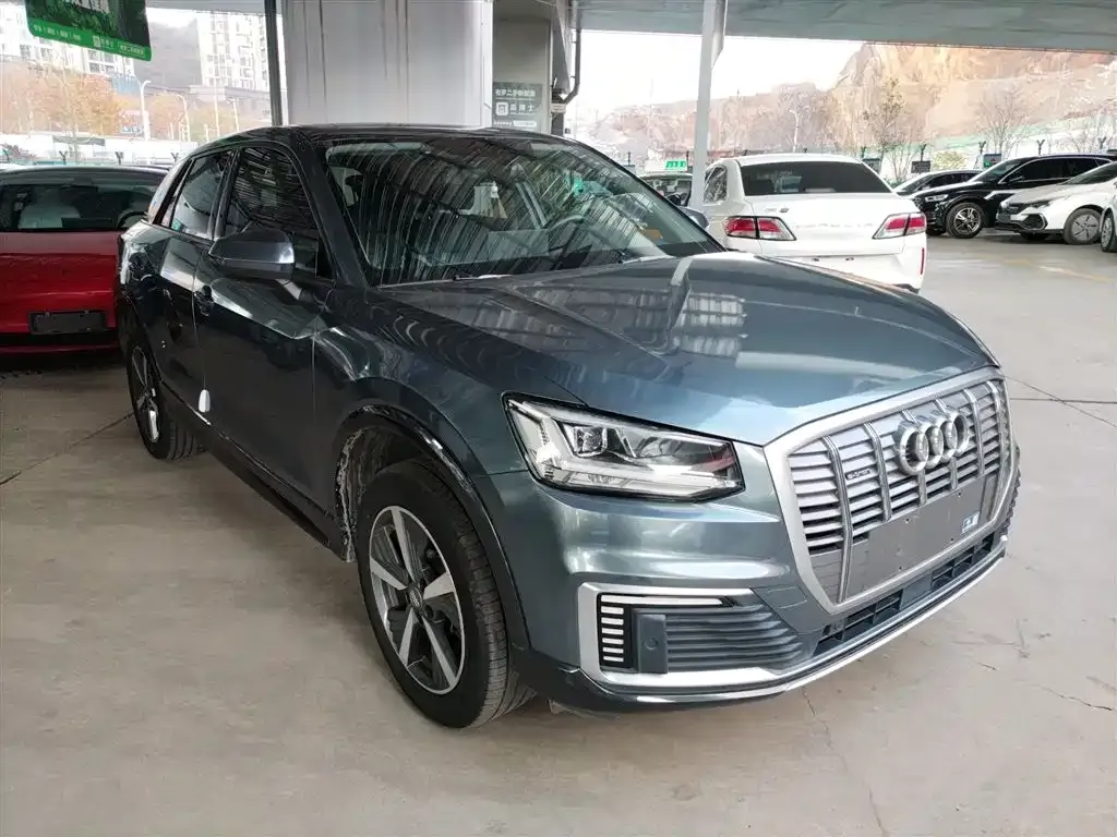 Audi Q2L e-tron 2021 из CN, фото 4