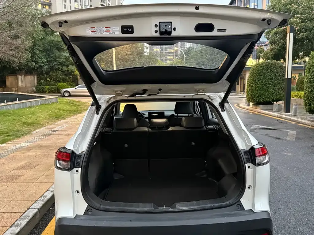 Toyota Frontlander 2023 из CN, фото 5
