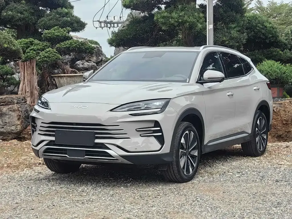 BYD PLUS New Energy — фото 1
