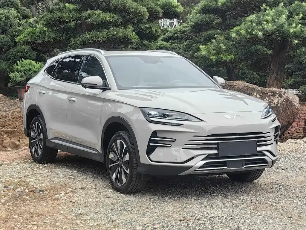 BYD PLUS New Energy — фото 3