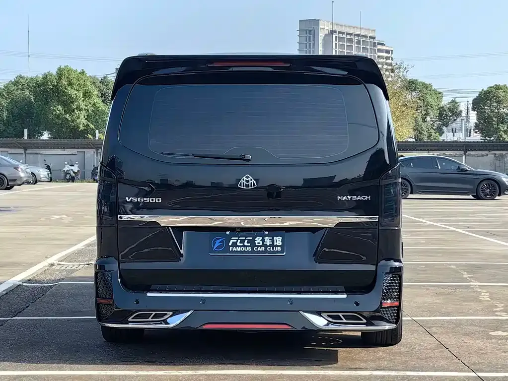 Mercedes-Benz Vito 2022 из CN, фото 4