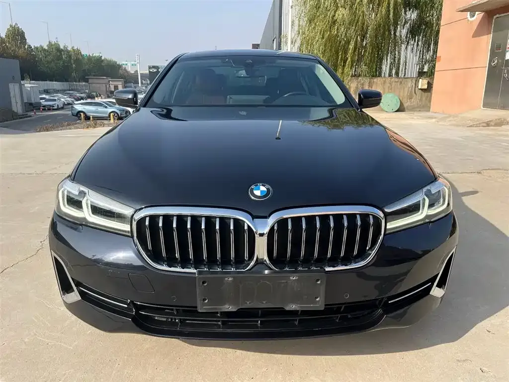 BMW 5 Series 2022 из CN, фото 2