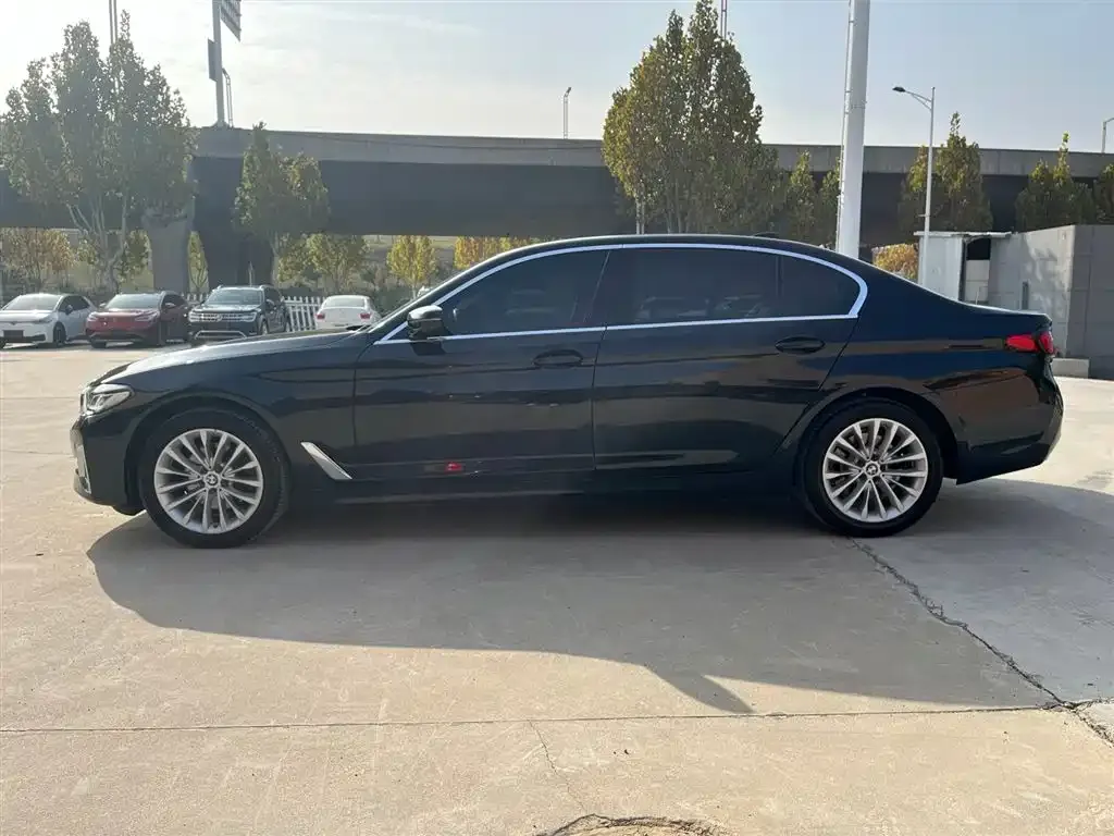 BMW 5 Series 2022 из CN, фото 4