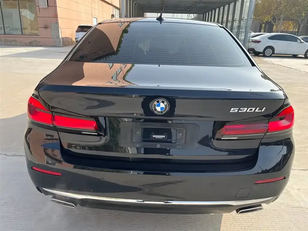 BMW 5 Series 2022 из CN, фото 7