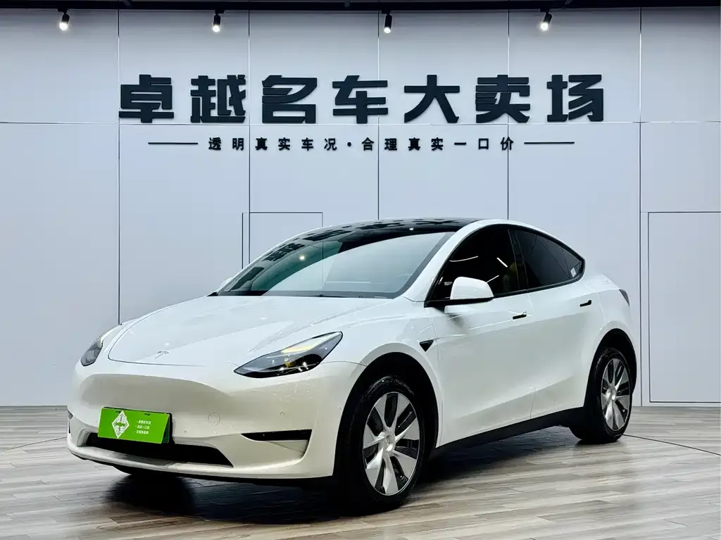 Tesla Model Y — фото 1