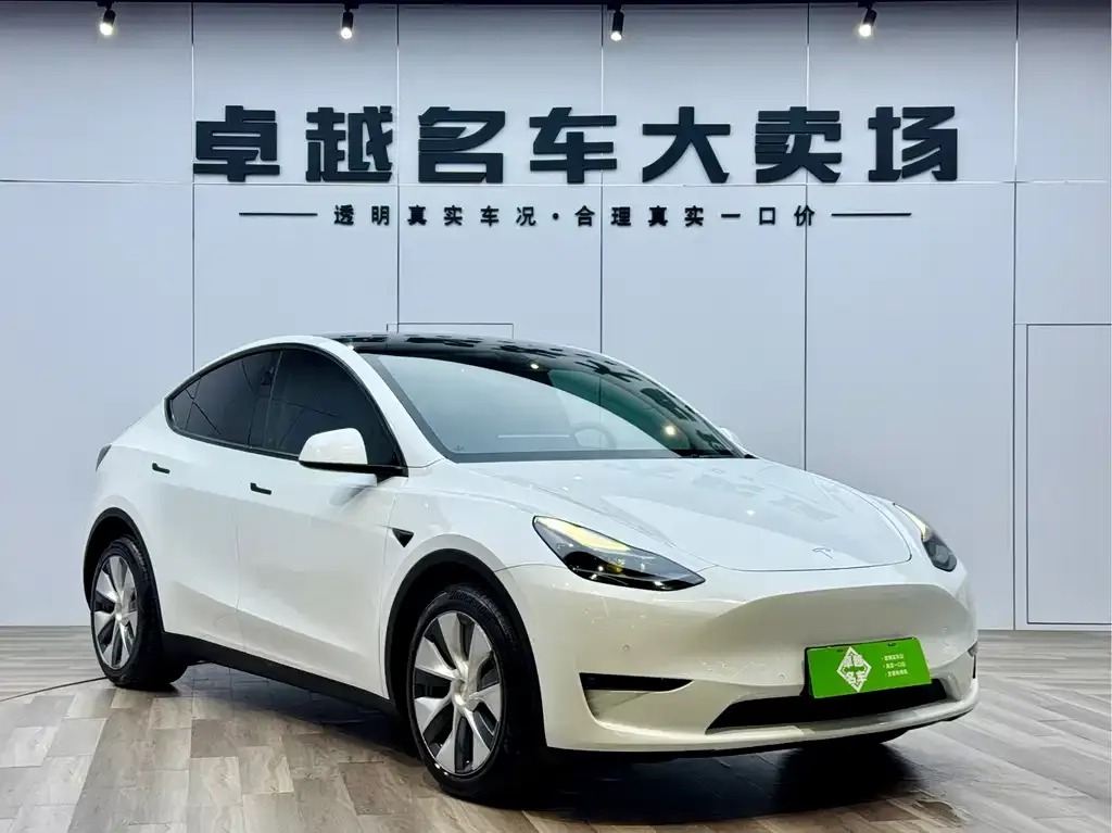 Tesla Model Y — фото 3